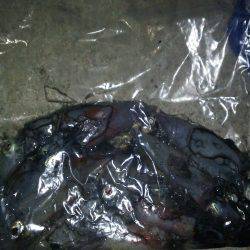 パターンを見つけて連発！