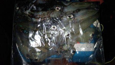 友人達とわいわいライトエギングでケンサキイレノリ♪