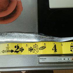 太刀魚渋かった