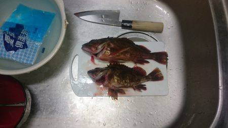 エギングのちガシリング