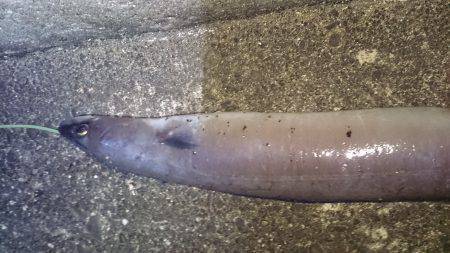 お盆休みは釣り三昧!