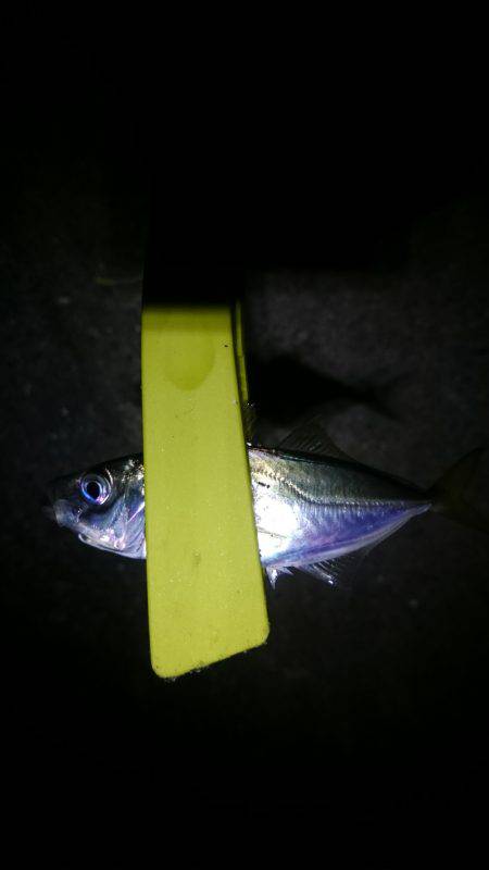 どっちもどっち