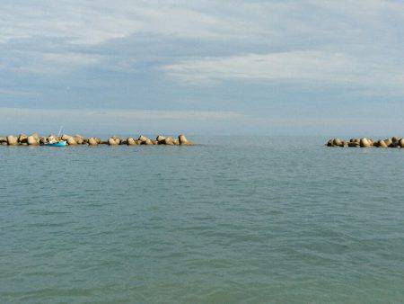 サーフエギング