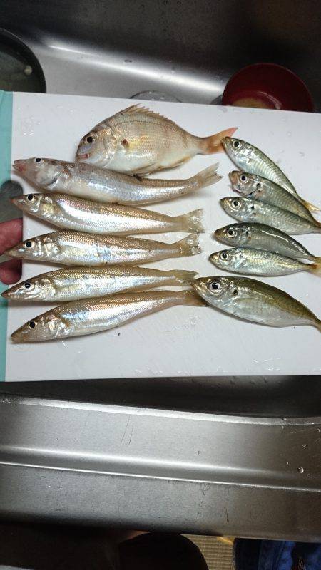 結局キッシング