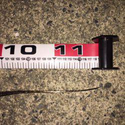 ドラゴンが来たよ