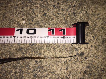 ドラゴンが来たよ