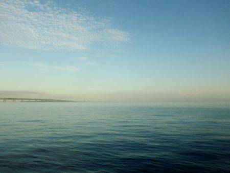 サゴシにツバスに小アジに・・・・・ナマコw