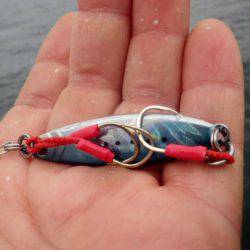 5日連続のショアジギ