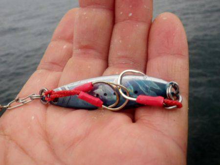 5日連続のショアジギ