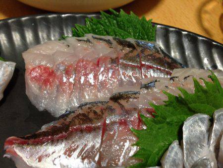 チビ太刀幼稚園、太ったアジで大満足