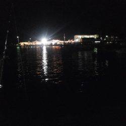 お祭り&フィッシング