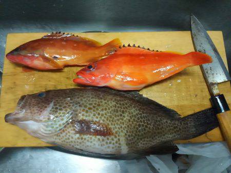 レンタルボート釣行