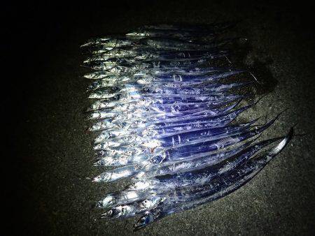 連日の爆釣劇♪