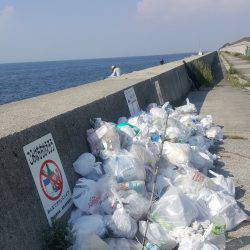 貝塚人工島タコ&サヨリ調査~~