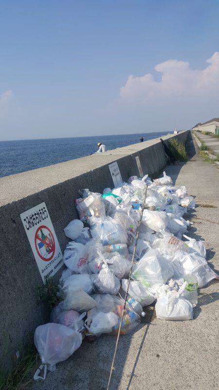 貝塚人工島タコ&サヨリ調査~~