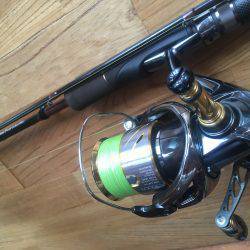 チョチョイと剣先。