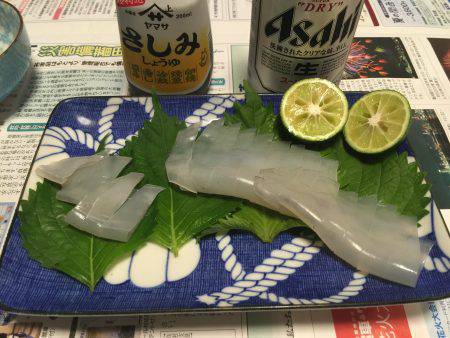 剣先イカ エギング