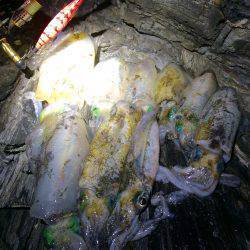 あちこちランガン‼︎