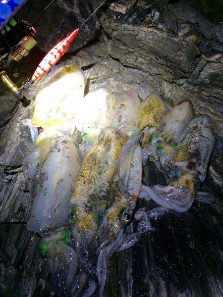 あちこちランガン‼︎