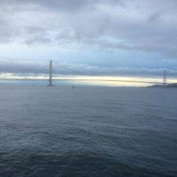 ケンサキ良好、アオリ不発