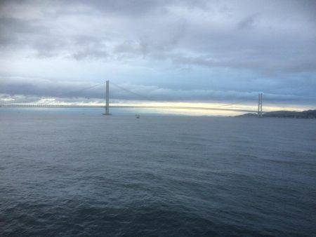 ケンサキ良好、アオリ不発