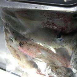 爆風。大雨。イカパンチ。