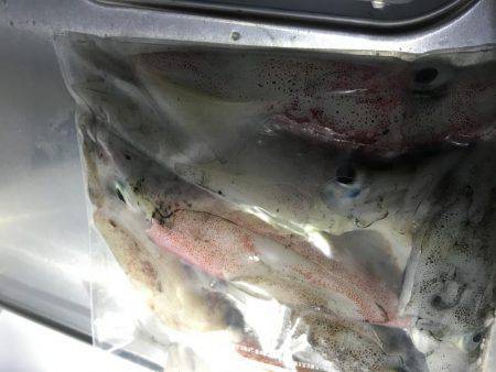 爆風。大雨。イカパンチ。