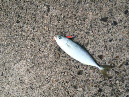 久しぶりの釣り