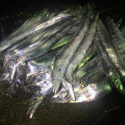 意地になってしまいました!