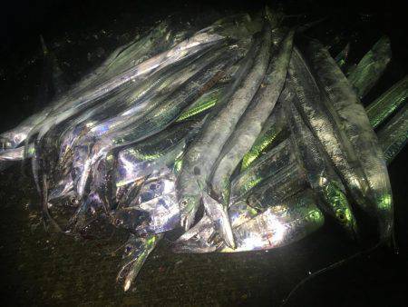 意地になってしまいました！