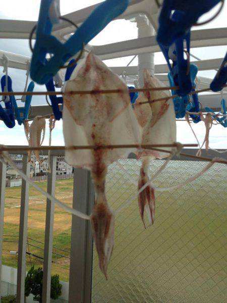 リベンジエギング