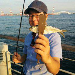 デイ豆アジング!