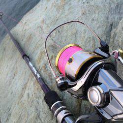 ウネリの中朝練エギング