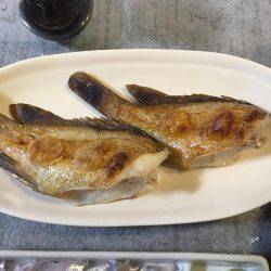 ロックフィッシングでキジハタ