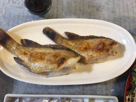 ロックフィッシングでキジハタ