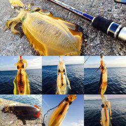 ウネリの中エギング