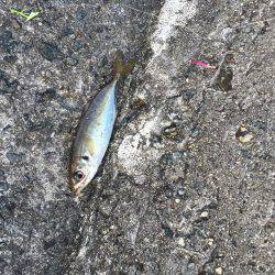 ハード釣行2日目!!