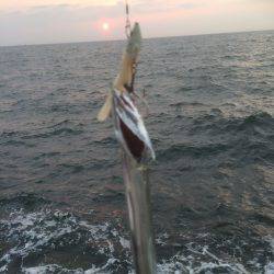 今年初ドラゴン