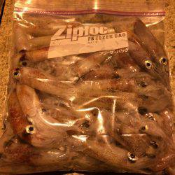 ライケン二回目