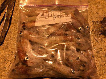 ライケン二回目