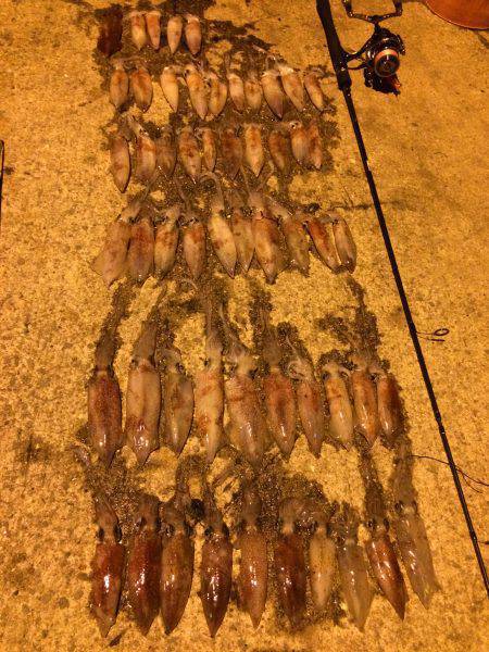 ライケン三回目