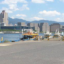 太刀魚のち尺アジ