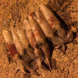 もう終わりか？