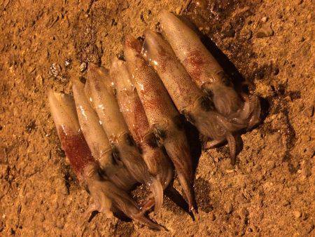 もう終わりか？