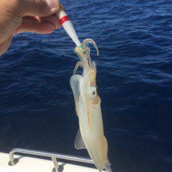 マイボートでイカメタル釣行