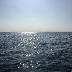 家島沖 丸アジ25〜35㎝