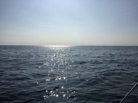 家島沖 丸アジ25〜35㎝