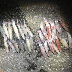 まだまだいますよね〜(^-^)