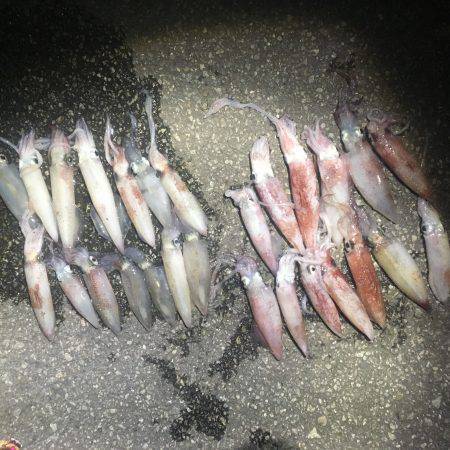 まだまだいますよね〜(^-^)