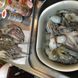 エギかテンヤか。